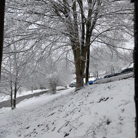 Le Lumadel Lejlighed Malmedy Eksteriør billede